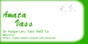 amata vass business card